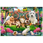 Castorland Pets in the Park 1000p palapeli