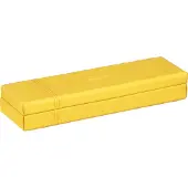 Rhodia Rhodiarama pencil box 21x5,5x3cm Daffodil