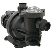 Aquasphere Fluidra Itseimevä Allaspumppu 75941 150m
