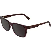 Lacoste L6077s Aurinkolasit