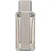 Salvatore Ferragamo Bright Leather Vapo 100ml Eau De Toilette