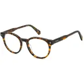 Polaroid PLD D519 50/19/145 Havana asetaattikehykset UNISEX PLD D519