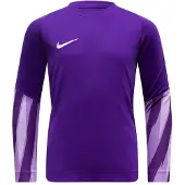 Nike Maalivahdin Paita Dri-fit Park V - Violetti/valkoinen Lapset, koko M: 137-147 cm