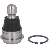 555 Pallonivel SB-4942