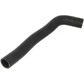 THERMOTEC Jäähdyttimen letku DW0580TT
