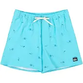 Quiksilver Stretch Printed Volley 16 Surffishortsit aqua spaced out Koko M