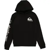 Quiksilver Omni Logo Hoodie Youth - Black - 14