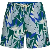 O'Neill Print 16'' Surffishortsit blue tropicana big Koko XXL