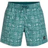 O'Neill Print 16'' Surffishortsit blue bricks Koko M