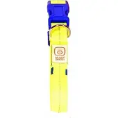 Duvo+ DUVO+ USB-valaistuskolari NYLON KELTAINEN 50-70cm/2.5cm 1270017