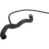 THERMOTEC Jäähdyttimen letku DWM002TT