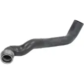 THERMOTEC Jäähdyttimen letku DWM006TT