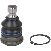 Delphi Pallonivel TC8549