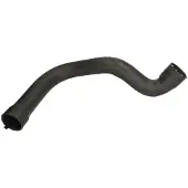THERMOTEC Jäähdyttimen letku DWC006TT