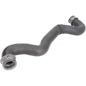 THERMOTEC Jäähdyttimen letku DWM038TT