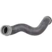 THERMOTEC Jäähdyttimen letku DWM024TT oikea