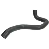 THERMOTEC Jäähdyttimen letku DCG004TT