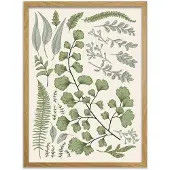 Kotoilu Kasvio 50 x 70 cm canvastaulu kehyksellä