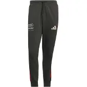 Adidas Urheiluhousut 'Audi Formula One Team DNA' tummanharmaa / punainen / valkoinen