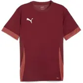 Puma Treenipaita Teamgoal - Viininpunainen/valkoinen Lapset, koko 116 cm