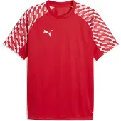 Puma Toiminnallinen paita 'TeamLiga26' punainen / tulenpunainen / valkoinen