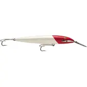 Rapala Countdown Magnum Sinking Minnow 100g 220 Mm