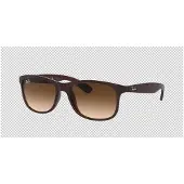 Ray-Ban Andy - RB4202 607313 5517