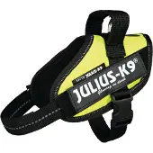 JULIUS K-9 Idc Mini Koiran Valjaat