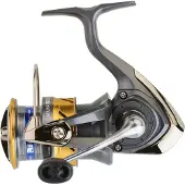 Daiwa Laguna Lt 20 Heittokelan