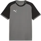 Puma Toiminnallinen paita 'TeamLIGA26 Matchday' tummanharmaa / musta / valkoinen