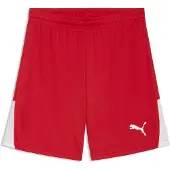 Puma Urheiluhousut 'TeamLIGA26' punainen / valkoinen