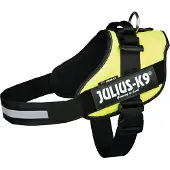 Julius-K9 Idc Koiran Valjaat