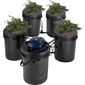 Vevor RDWC Hydroponics -järjestelmä, kiertovesiviljely, syvän veden viljely, 4 ämpäriä, 18,9 l