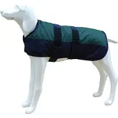 Freedog North Pole Model B Koiran Takki