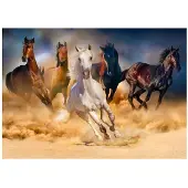 Enjoy Puzzle ENJOY Horses Running in the Desert 1000p palapeli