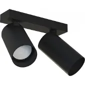 Lyora Mono spottivalaisin 2xGU10 31cm musta