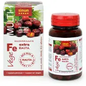ESI Multi Fe Vege Rautapidolaatti + Acerola 60 kaps. ravintolisä