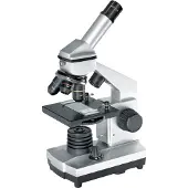 Bresser Junior Biolux-mikroskoopin älypuhelinpidike Ca 40x-1024x
