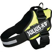 Julius-K9 Idc Koiran Valjaat
