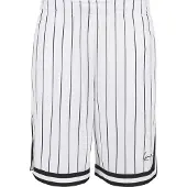 Karl kani Small Signature Pinstripe Mesh Shortsit