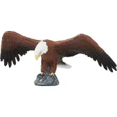Small Foot Wildlife Bald Eagle