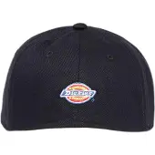 Dickies Hardwick Two Tone Lippis