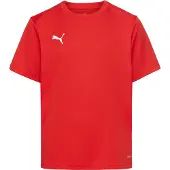 Puma Toiminnallinen paita 'TeamGoal' punainen / valkoinen
