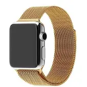 SKALO Milanese Loop Apple Watch Series 11 46mm - Kulta
