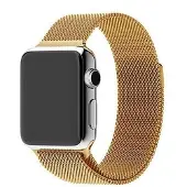 SKALO Milanese Loop Apple Watch SE 3 44mm - Kulta