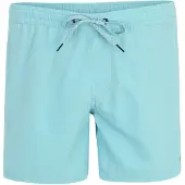 Quiksilver Everyday Solid Volley 15 Surffishortsit sininen, XL