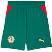 Puma Senegal 2026 Shorts Men, koko Large
