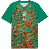 Puma Côte d'Ivoire Warmup Jersey Men, koko 3XL