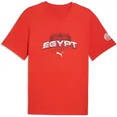 Puma Egypt Ftblculture Tee Men, koko Medium