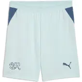 Puma Switzerland 2026 Shorts Men, koko X-Large